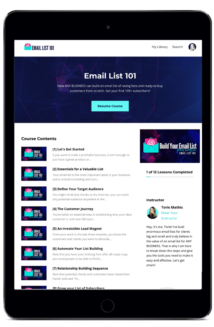 Email List 101 Graphic | Torie Mathis