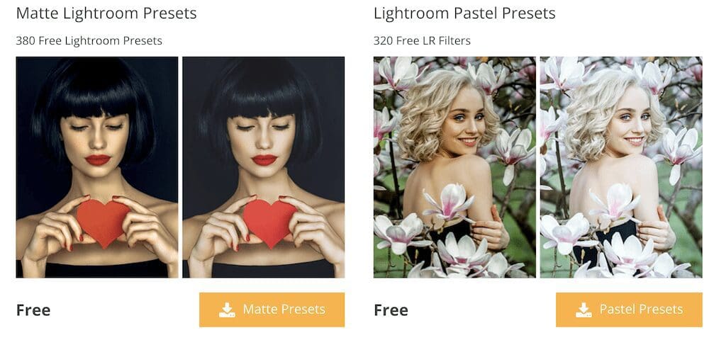 Lead Magnet for Photographers - Lightroom Presets example
